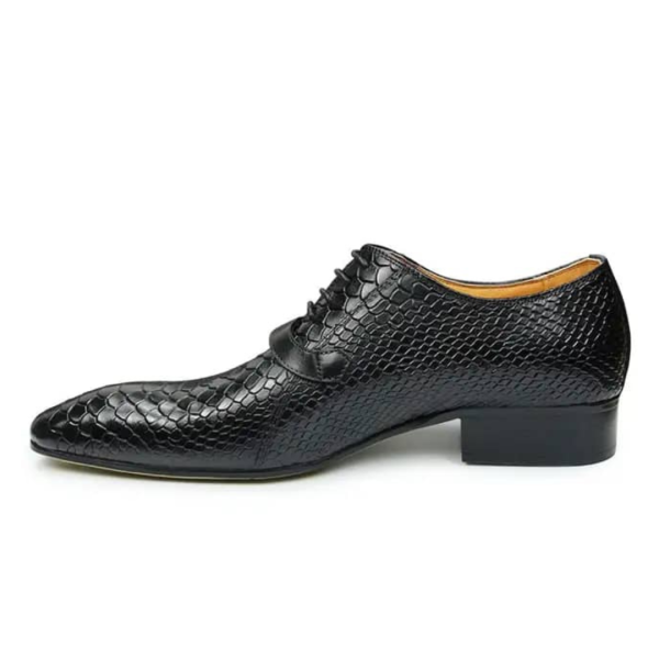 The Business Oxford