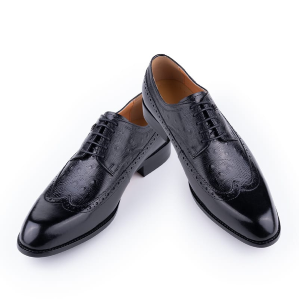 The All-Day Aces Men Oxfords