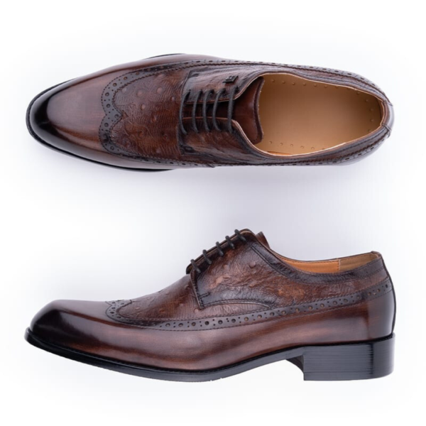 The All-Day Aces Men Oxfords